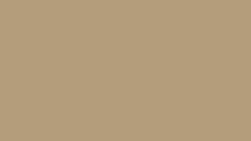 1K Spray RAL 8031 Sandbraun
