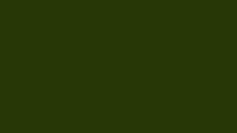 2K Spray BS 224 Deep Bronze Green