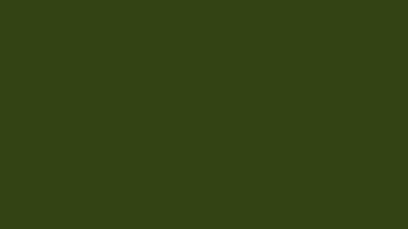 2K Spray FS 34094 Green 383