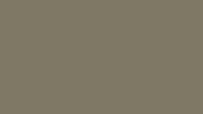 1K RAL 7002 Olivgrau