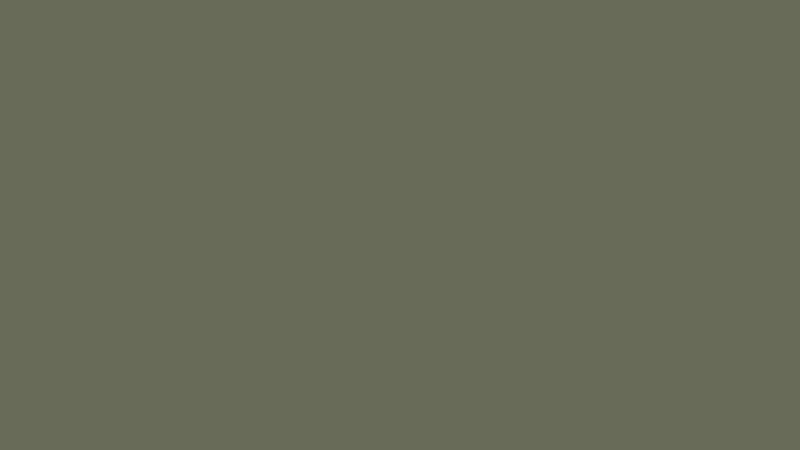 1K Khaki Vert